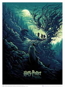 LITHOGRAPHIE HARRY POTTER & THE SHADOW OF THE WEREWOLF